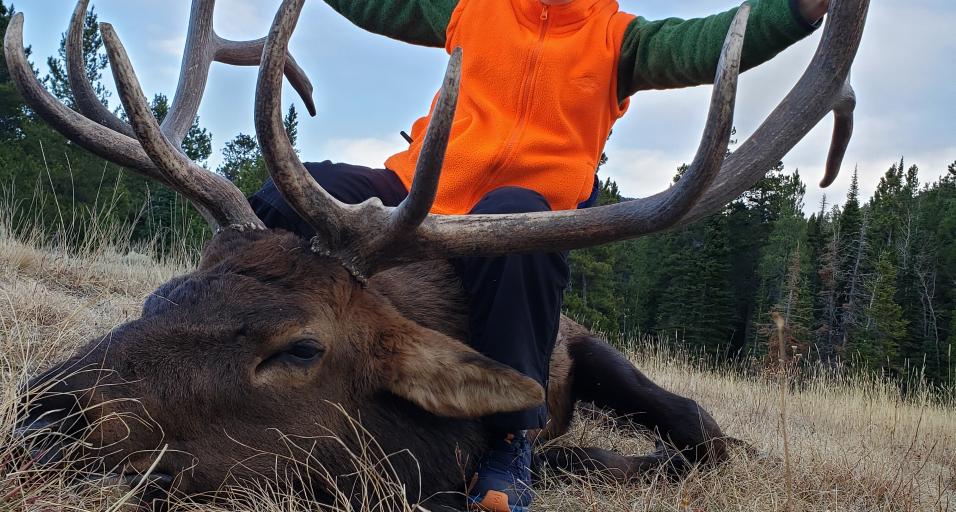 Game and Fish invites the public to provide input on 2022 hunting seasons Wyoming Game & Fish